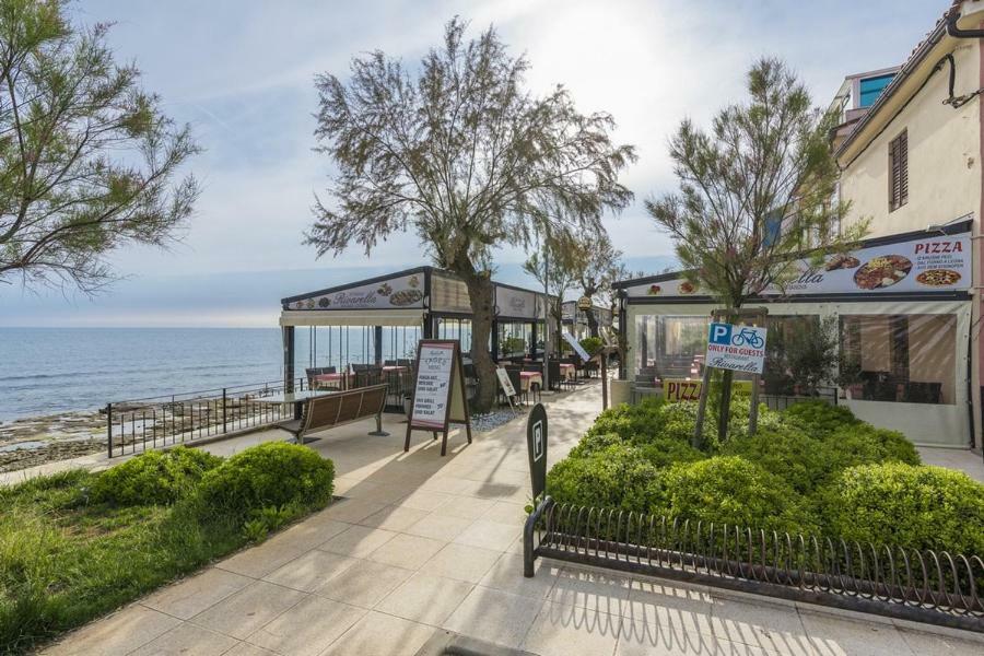 Apartment Lion Novigrad Istria Eksteriør billede